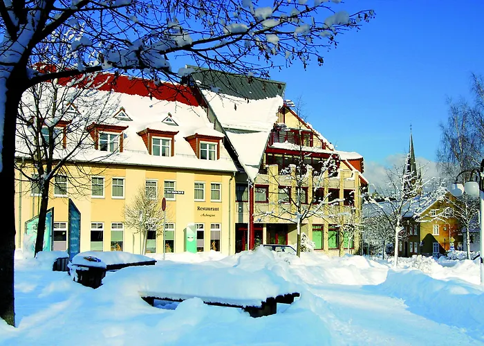 酒店 新斯塔德特公园酒店 4*