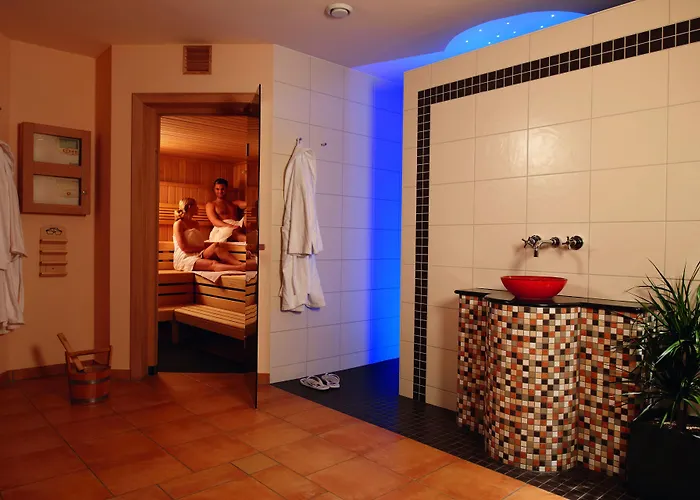 酒店 新斯塔德特公园酒店 4*